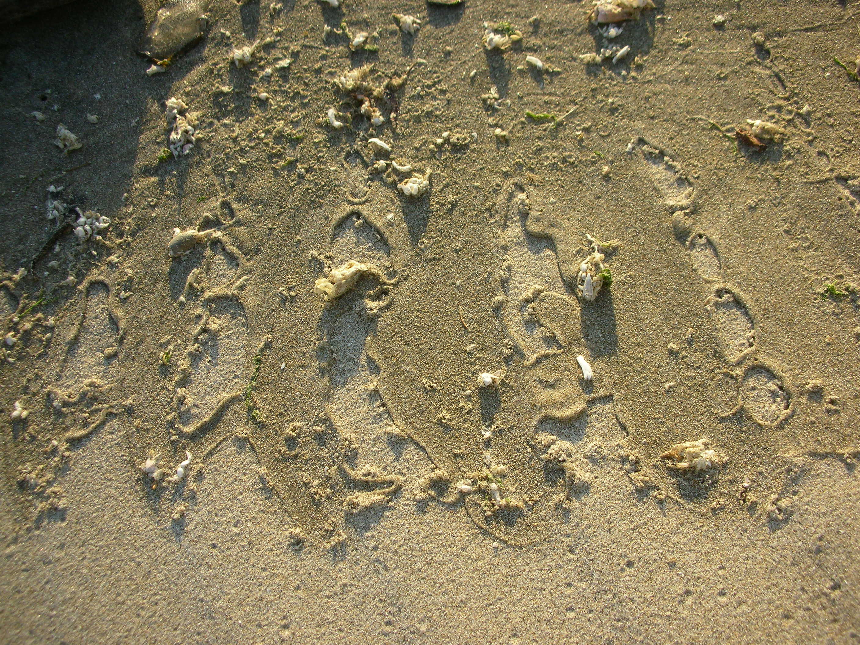 DSCN3561.jpg