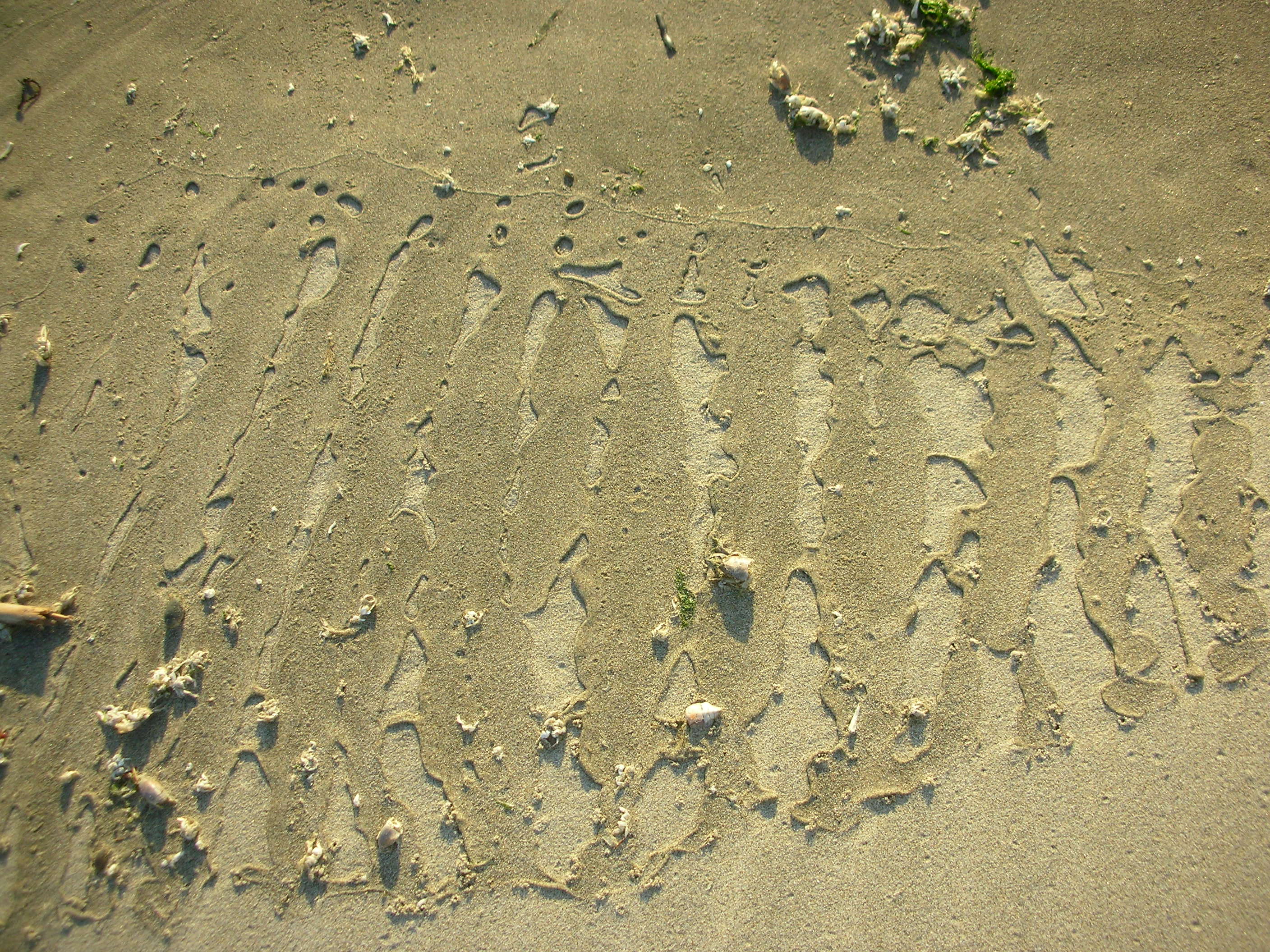 DSCN3562.jpg