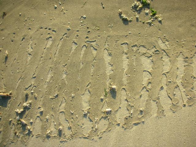 DSCN3562.jpg