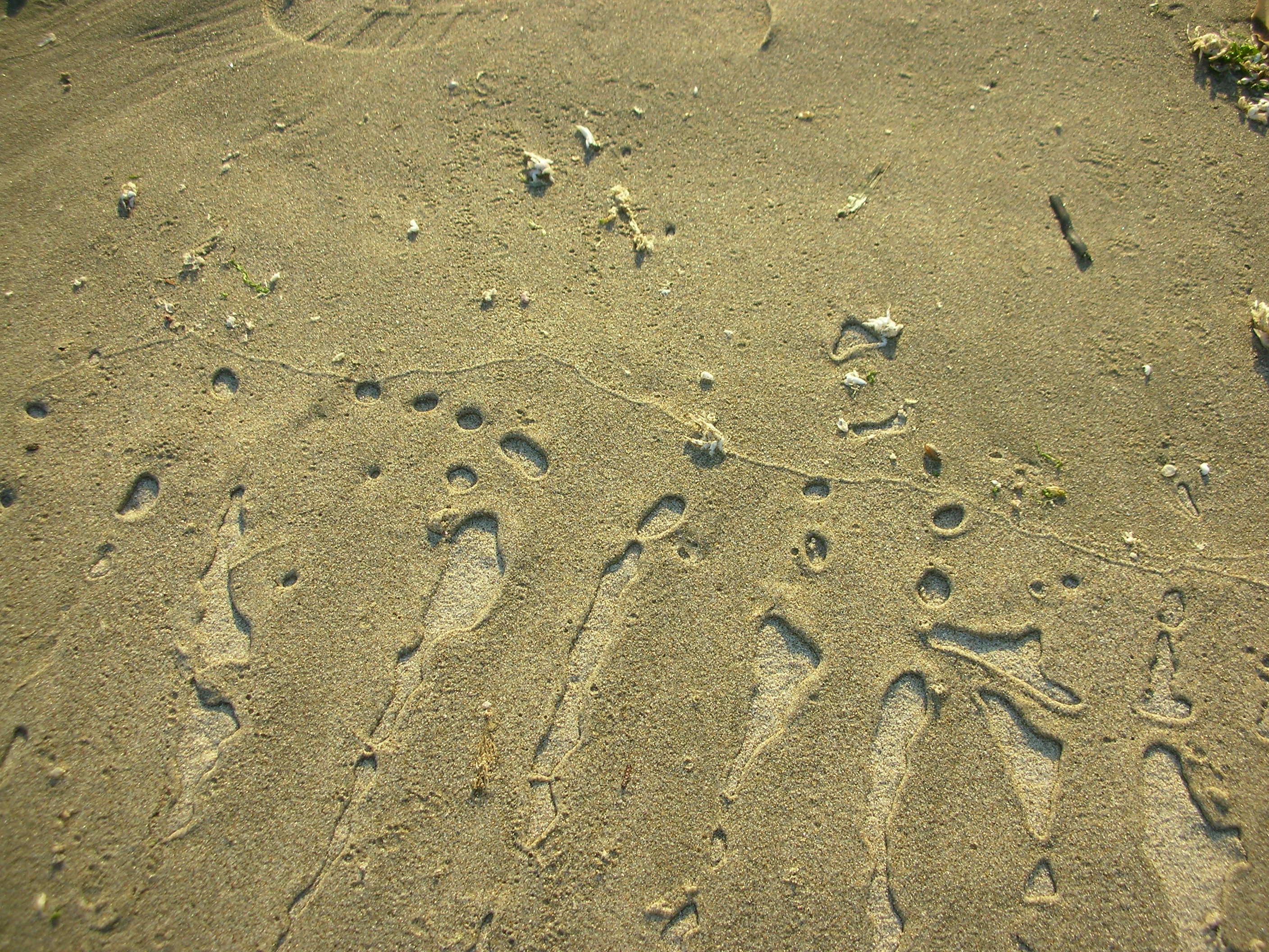DSCN3563.jpg