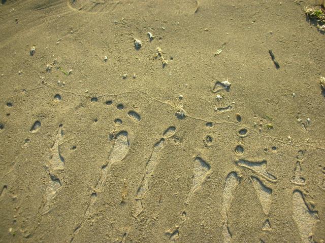 DSCN3563.jpg