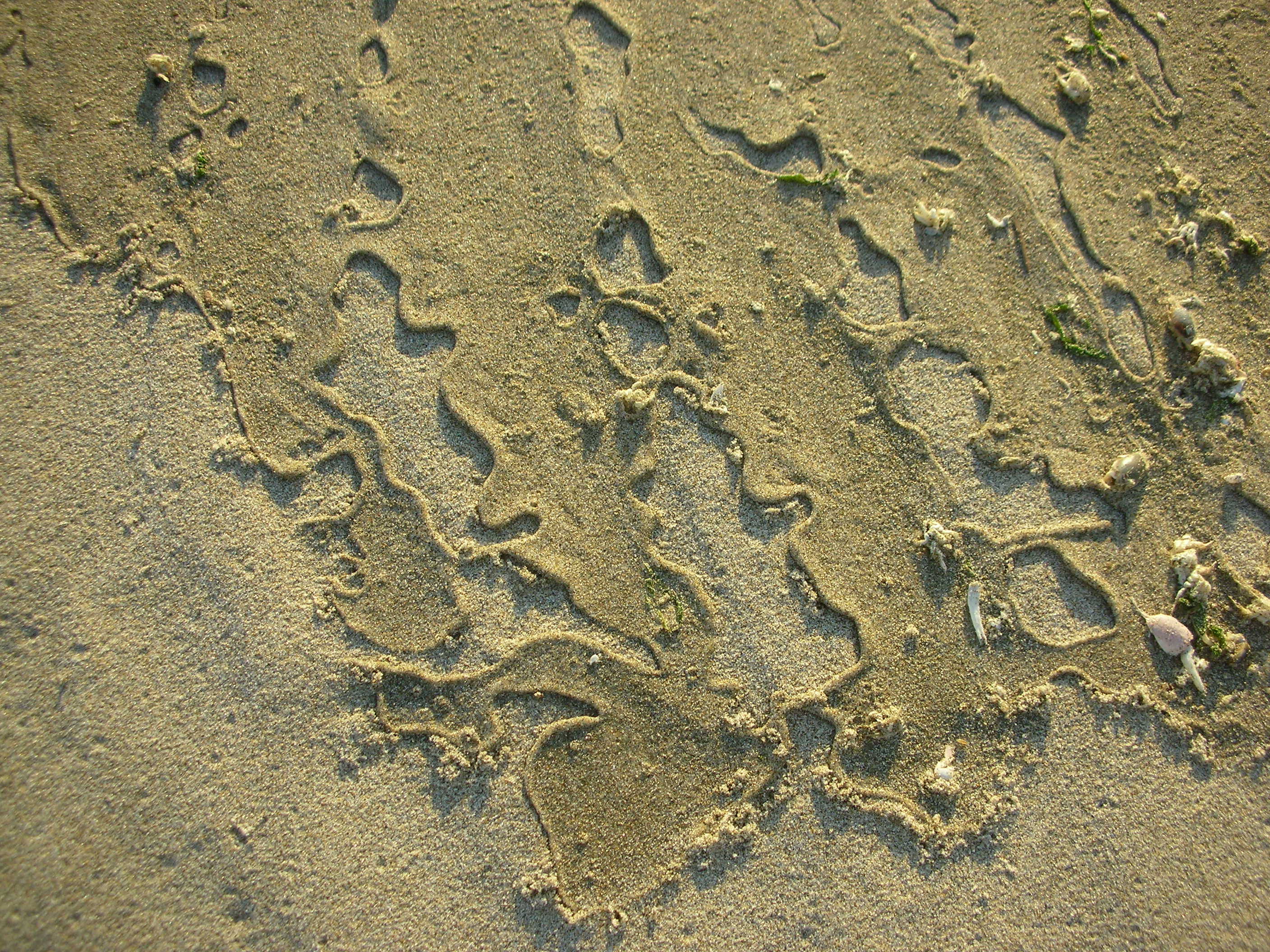 DSCN3564.jpg