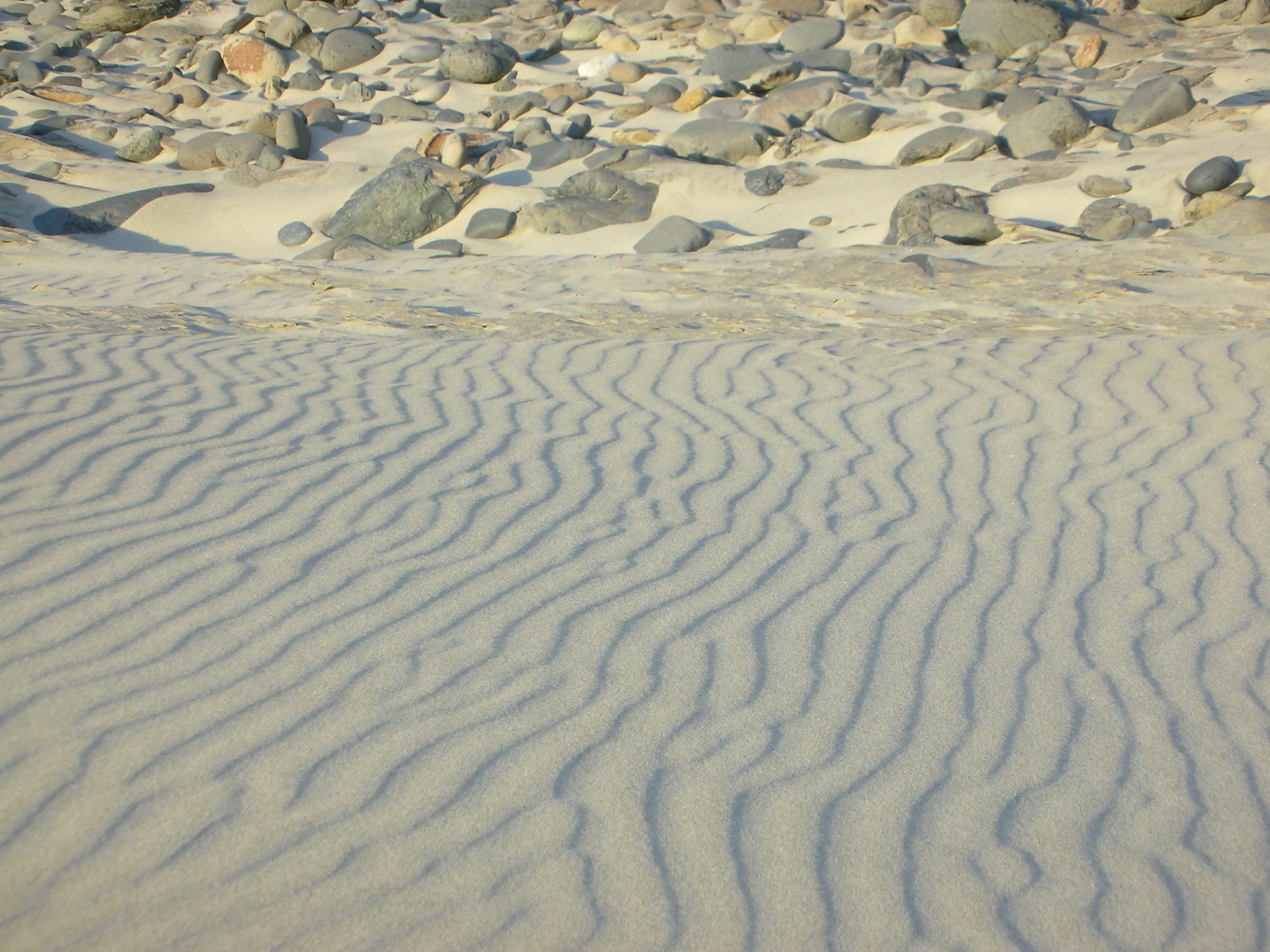 DSCN3566.jpg