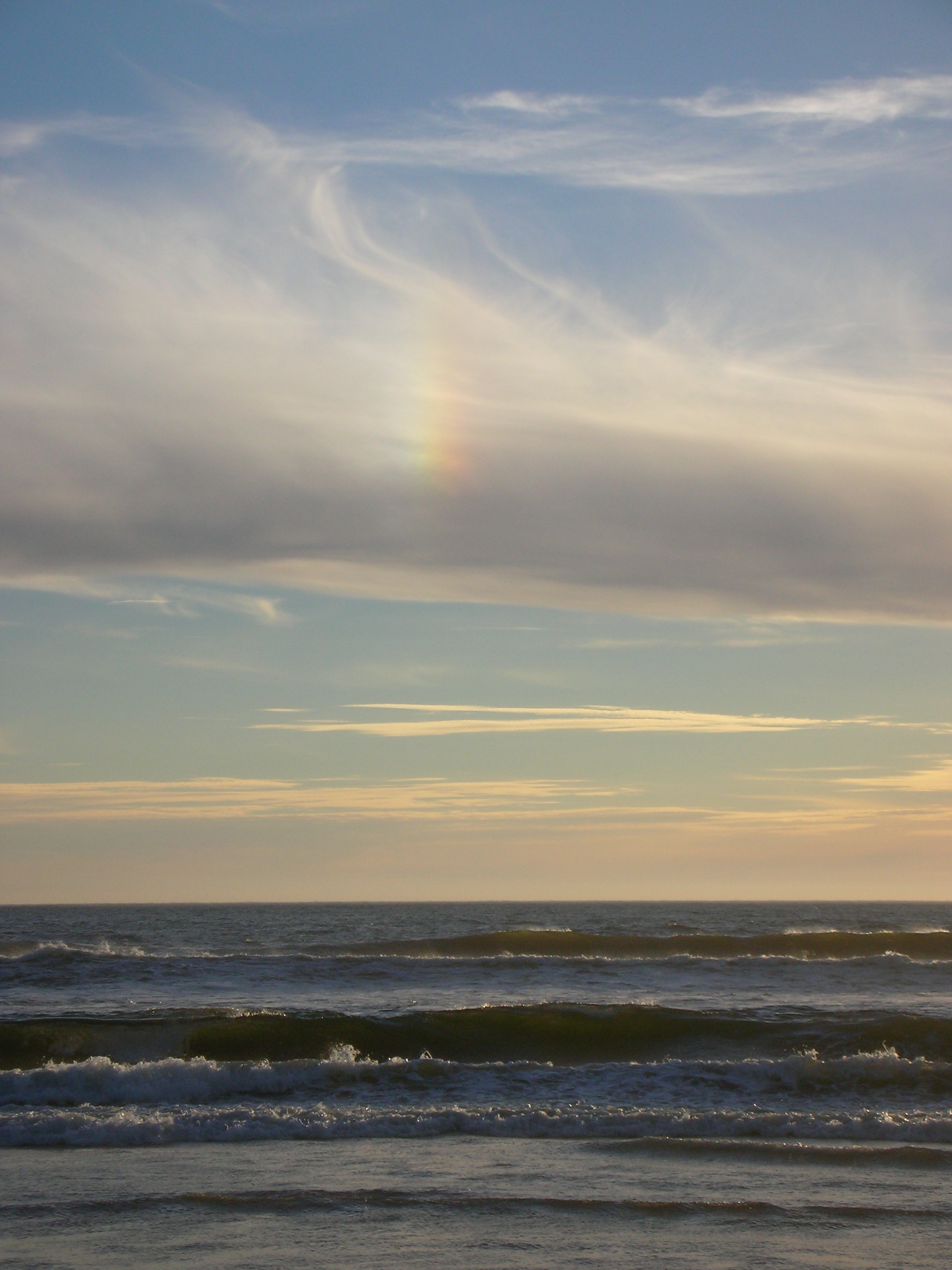 DSCN3568.jpg