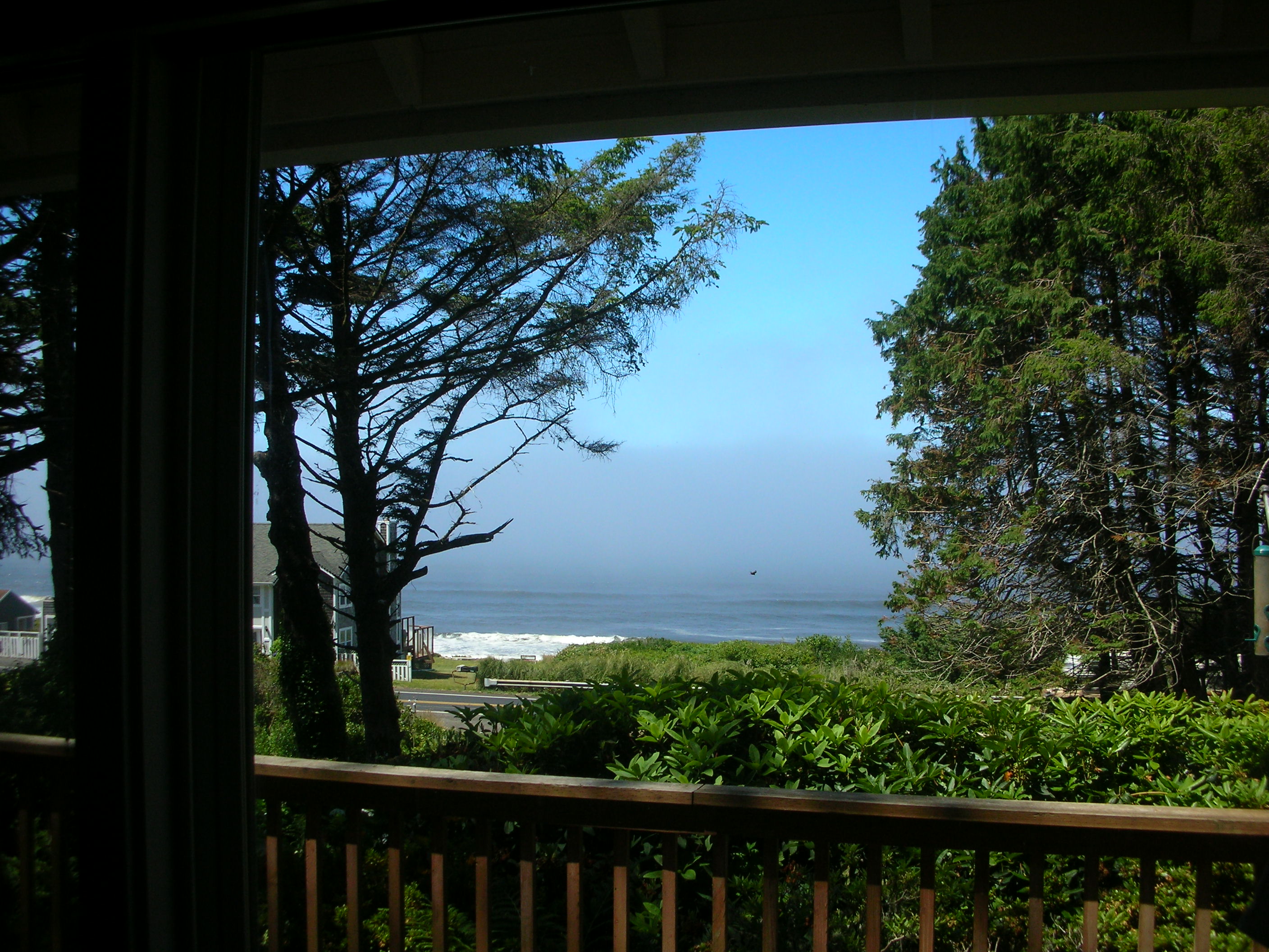 DSCN3571.jpg