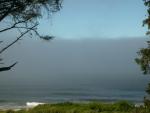DSCN3572.jpg