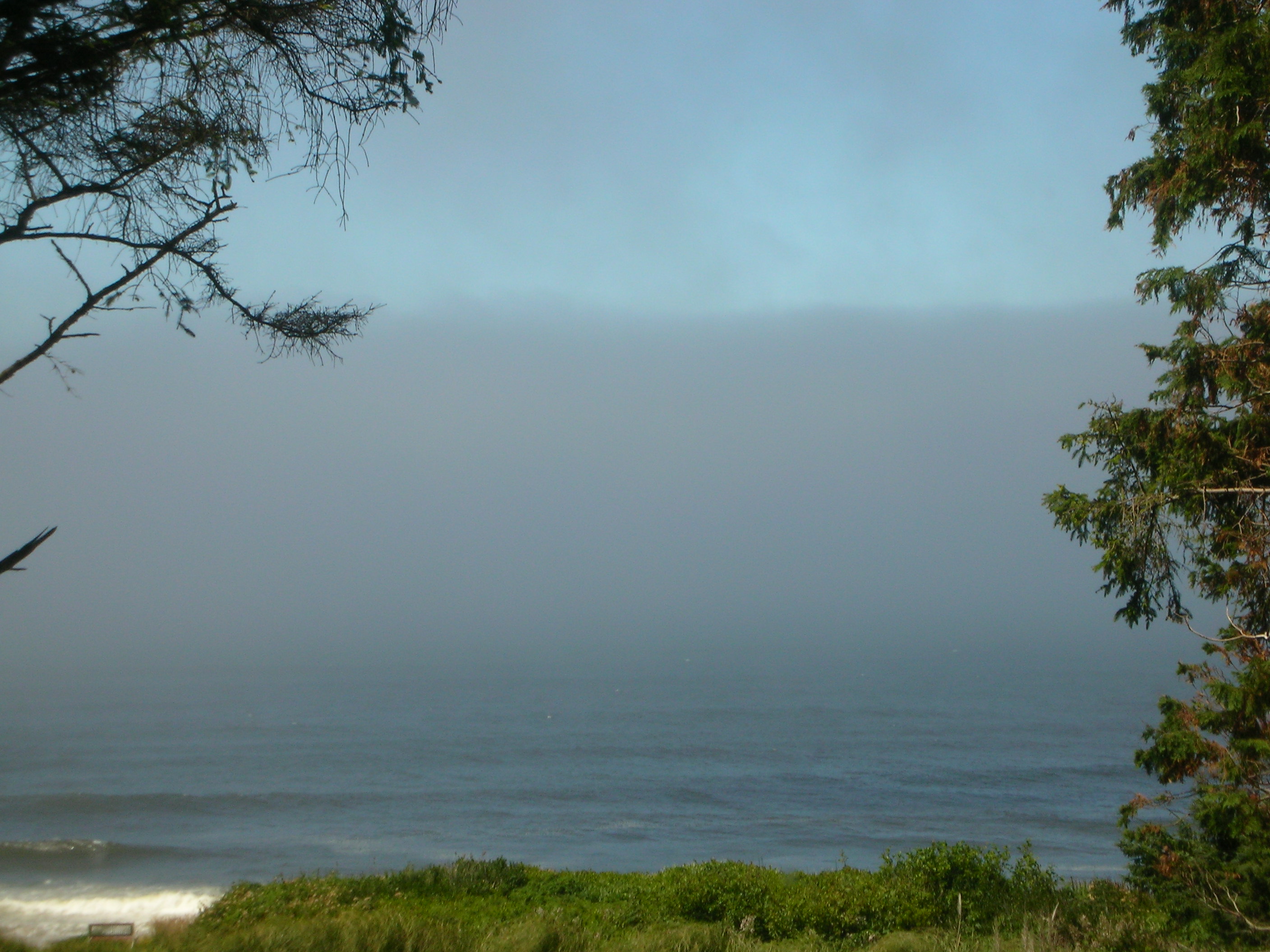 DSCN3573.jpg