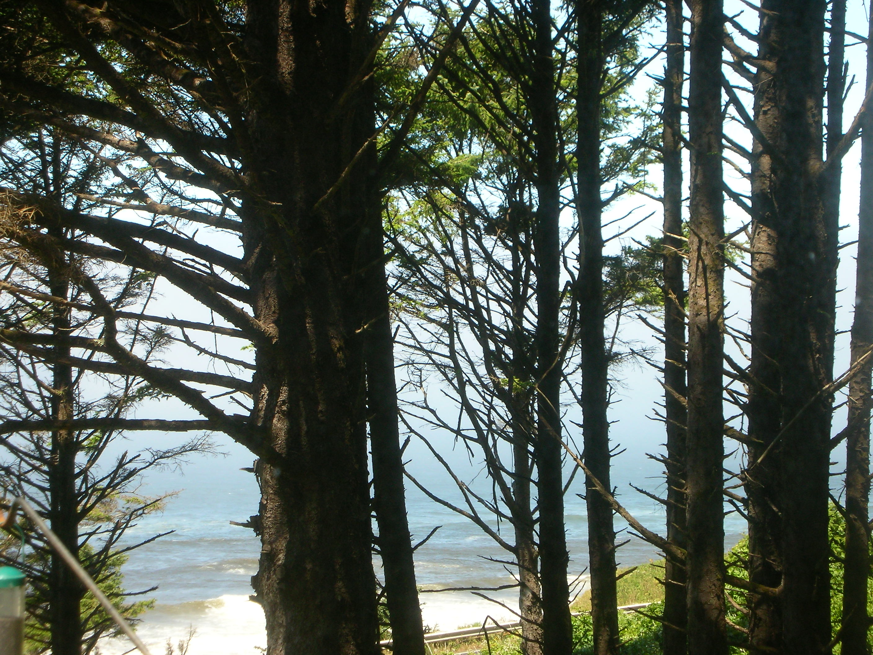 DSCN3574.jpg