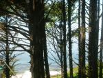DSCN3574.jpg