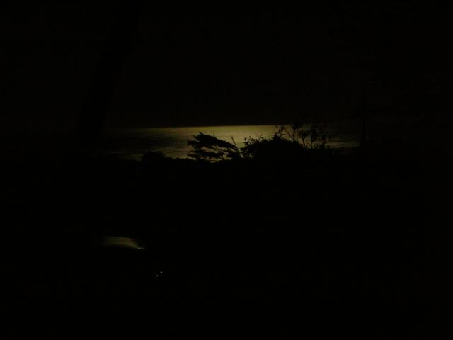 DSCN3447.jpg