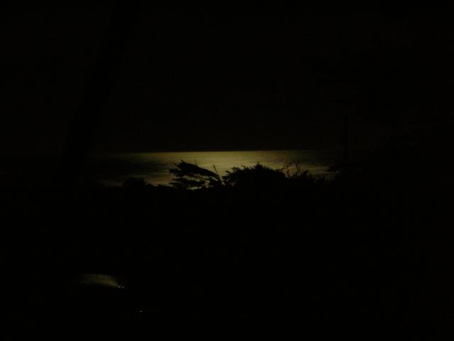 DSCN3449.jpg
