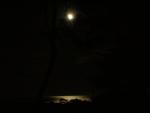 DSCN3450.jpg