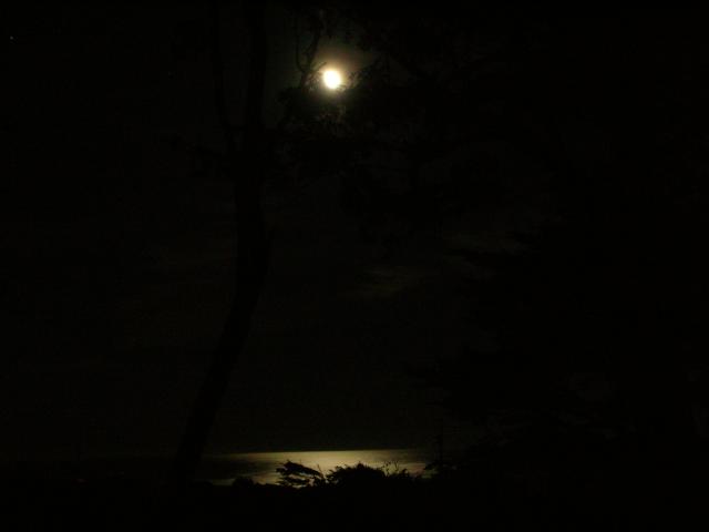 DSCN3450.jpg