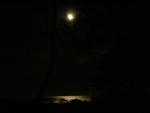 DSCN3451.jpg