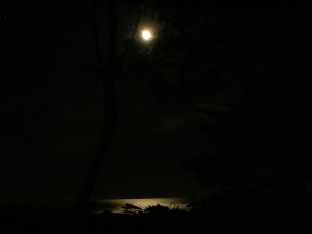 DSCN3451.jpg