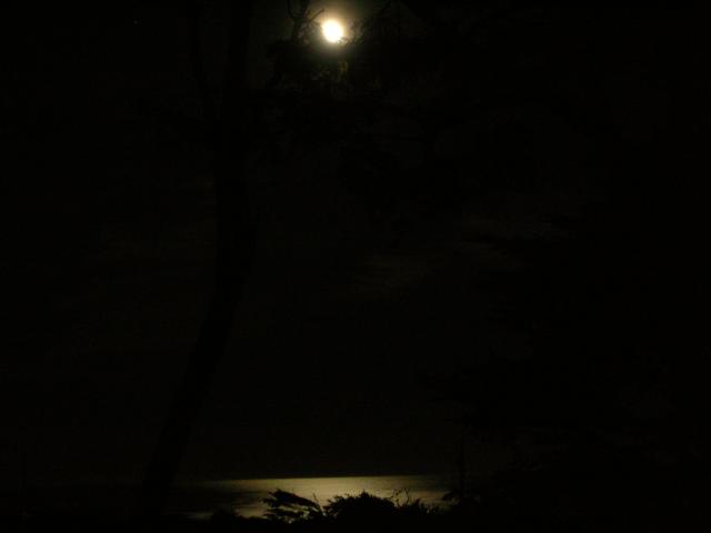 DSCN3452.jpg