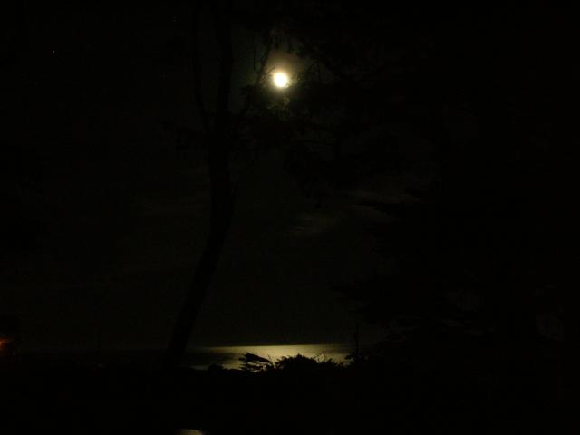 DSCN3453.jpg
