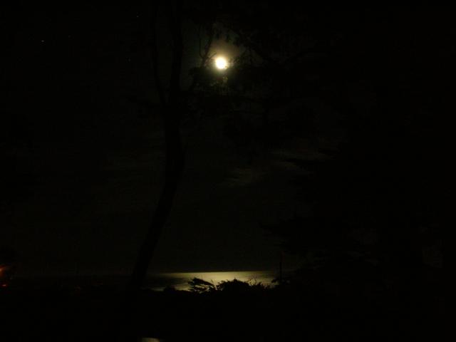 DSCN3454.jpg