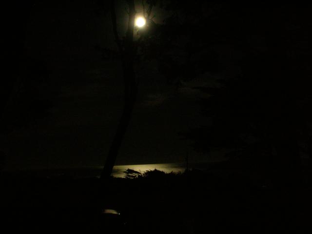 DSCN3455.jpg