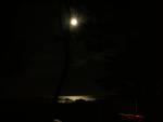 DSCN3456.jpg