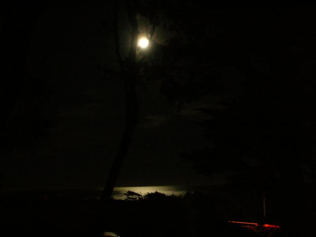 DSCN3456.jpg