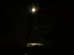 DSCN3457.jpg