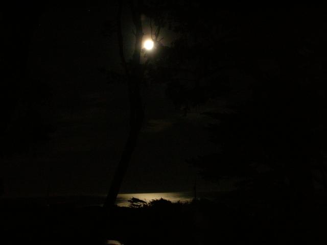 DSCN3457.jpg