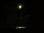 DSCN3458.jpg