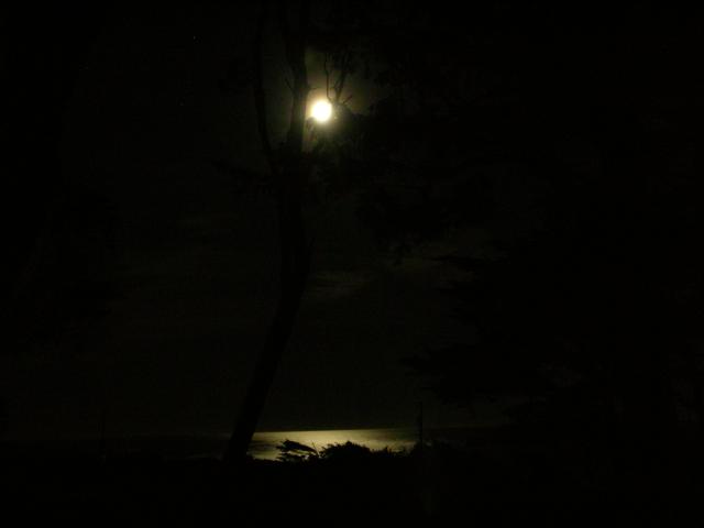 DSCN3458.jpg