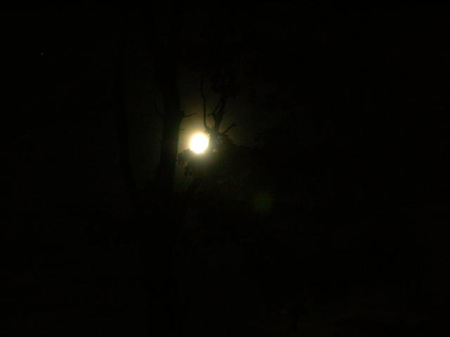 DSCN3459.jpg