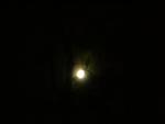 DSCN3460.jpg