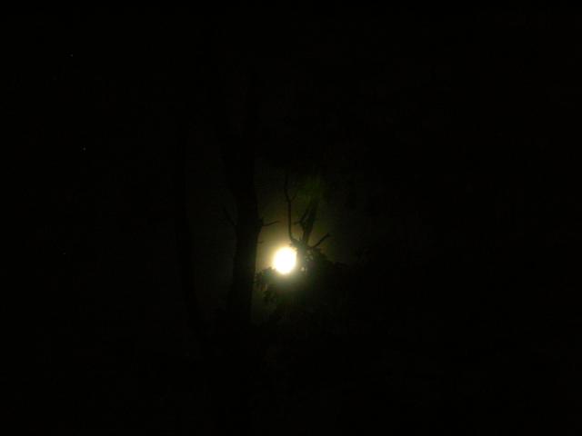 DSCN3460.jpg