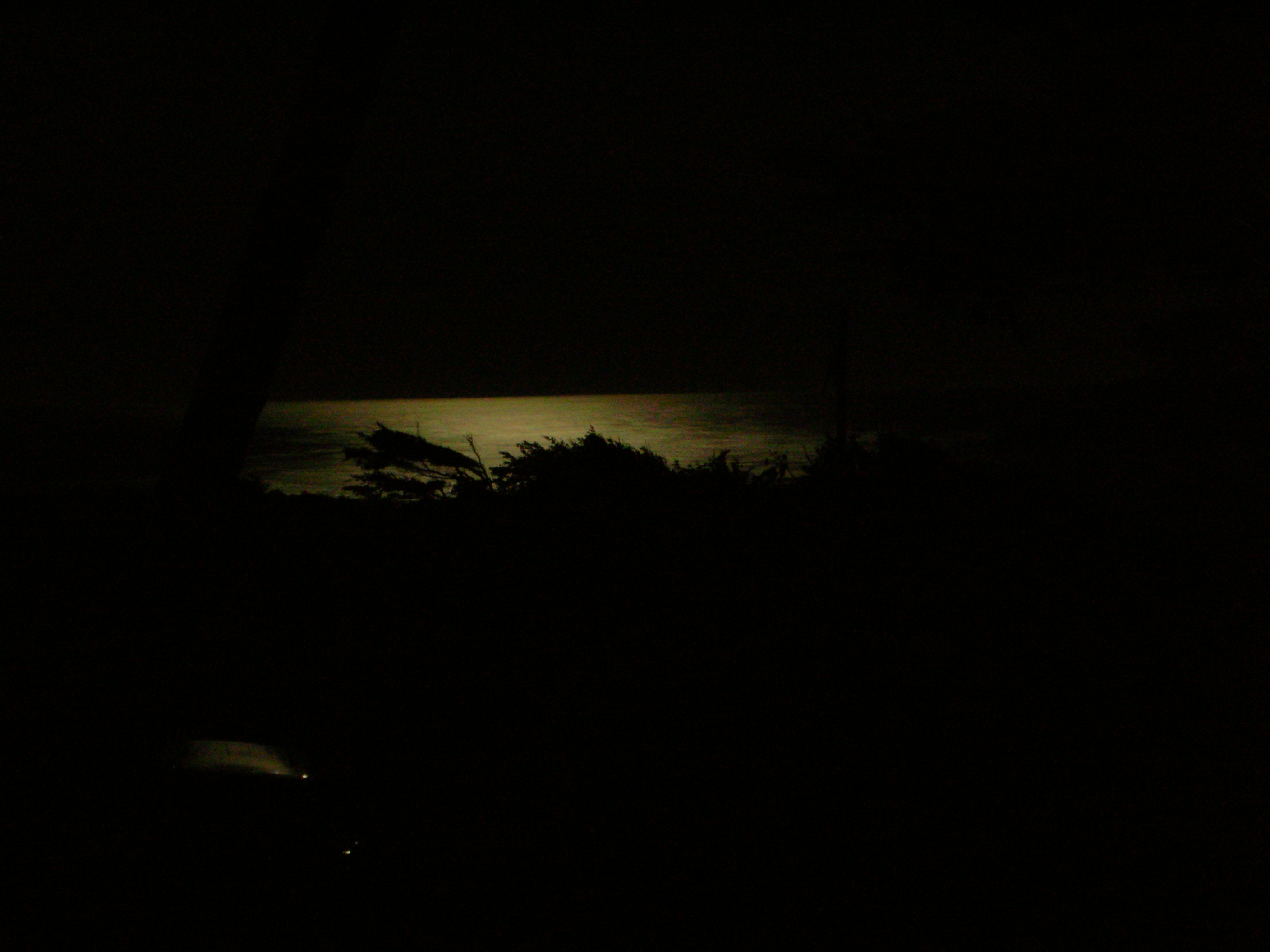 DSCN3461.jpg