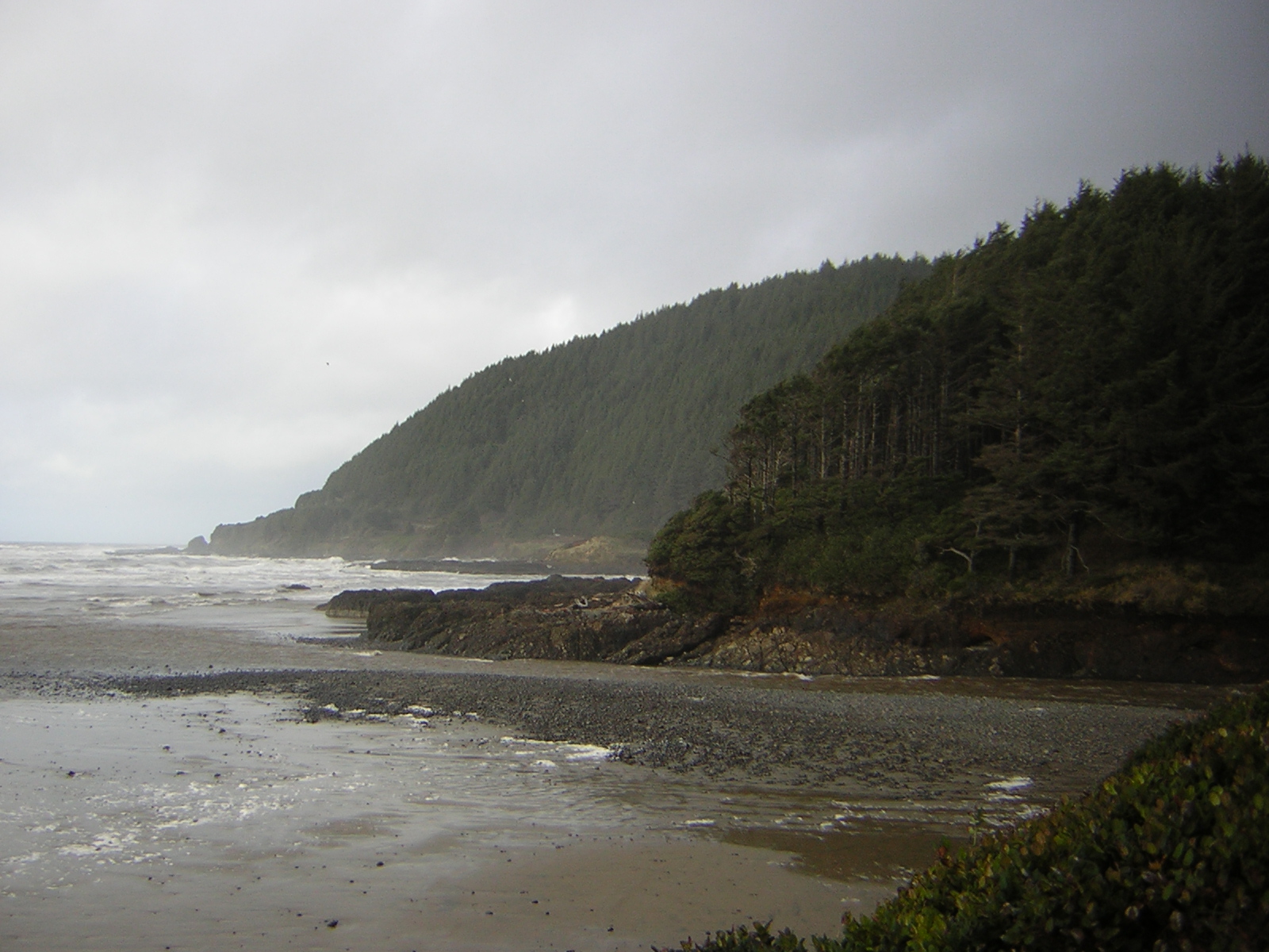 DSCN2891.jpg