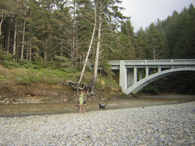 DSCN2895.jpg