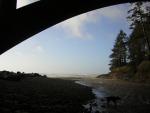 DSCN2901.jpg