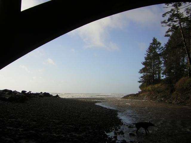 DSCN2901.jpg