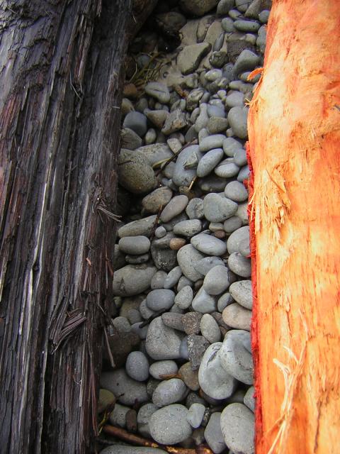 DSCN2906.jpg