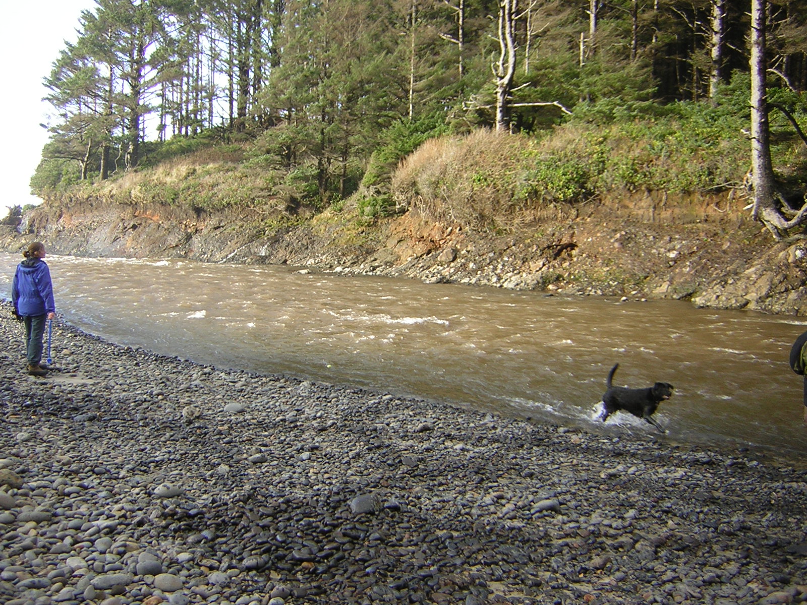DSCN2910.jpg