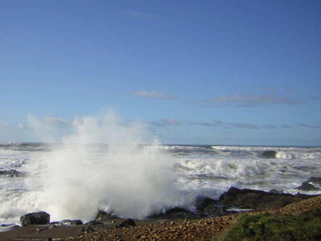 DSCN2911.jpg