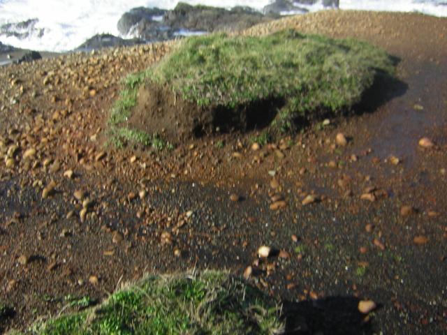 DSCN2912.jpg