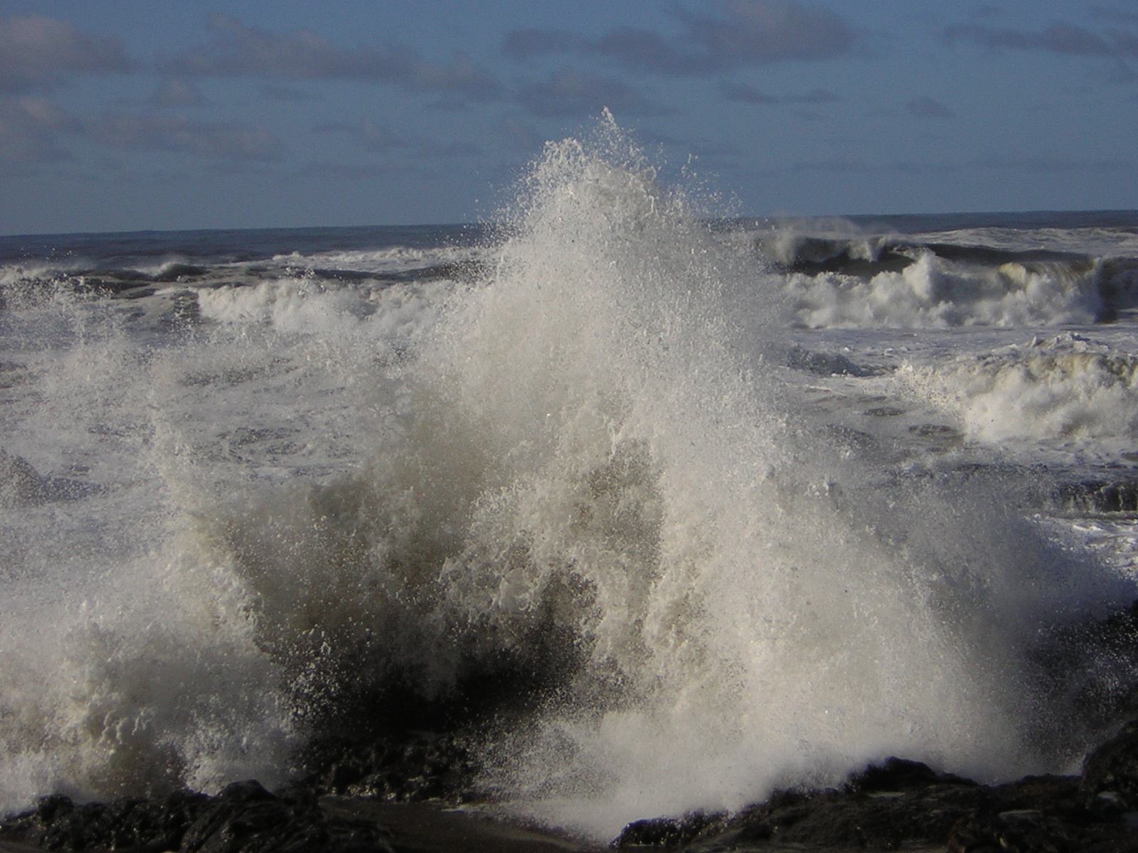 DSCN2913.jpg
