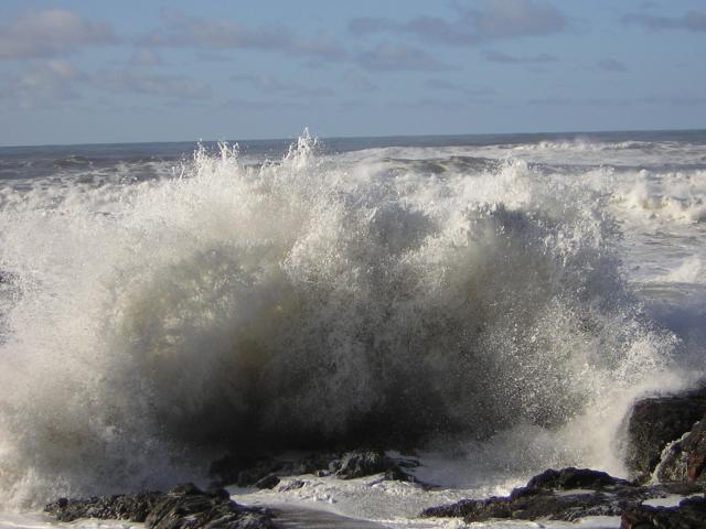 DSCN2914.jpg