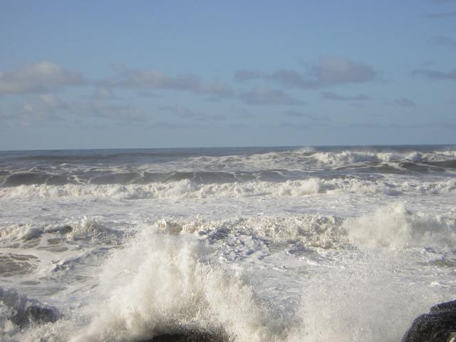 DSCN2915.jpg