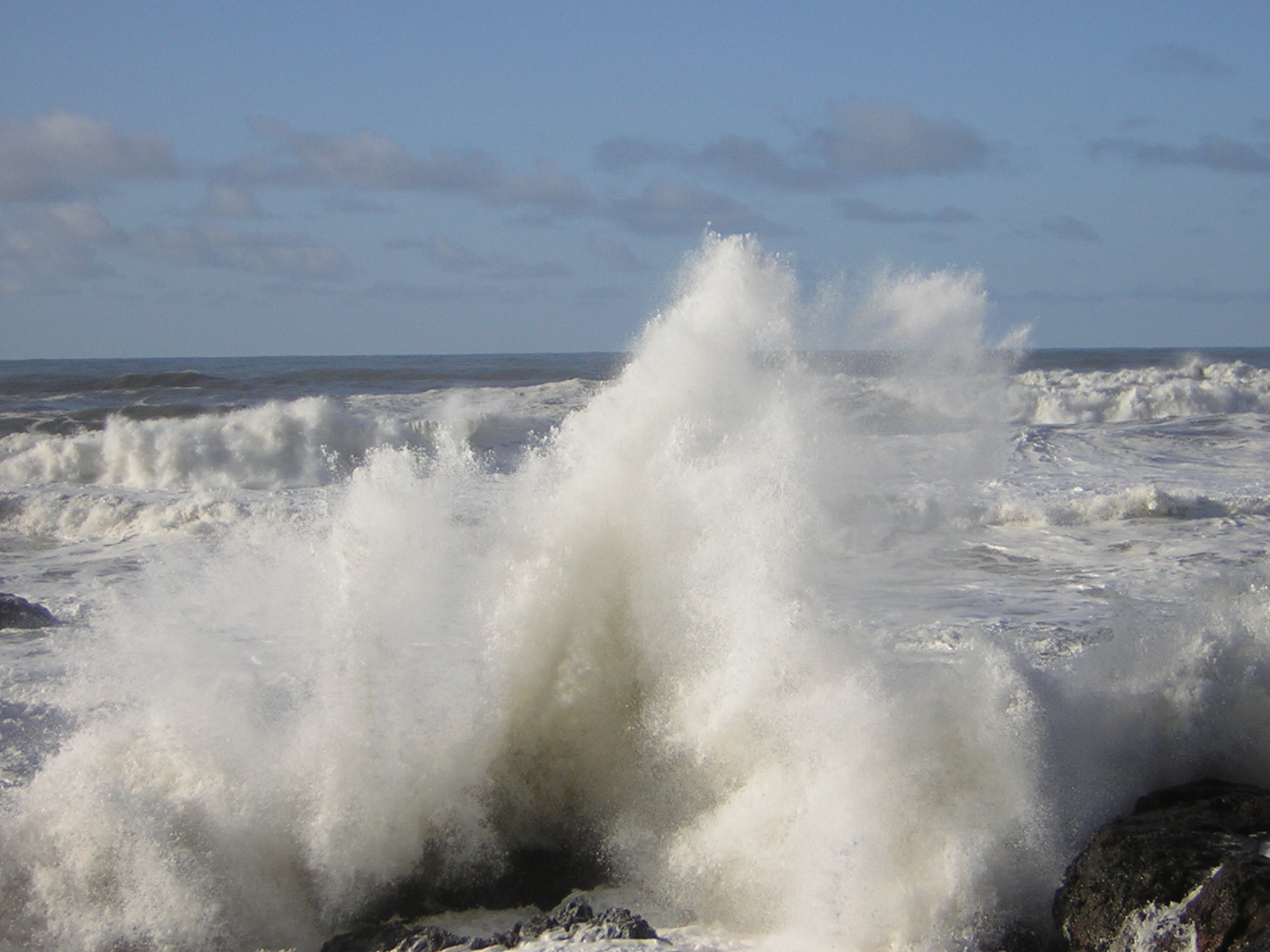 DSCN2916.jpg