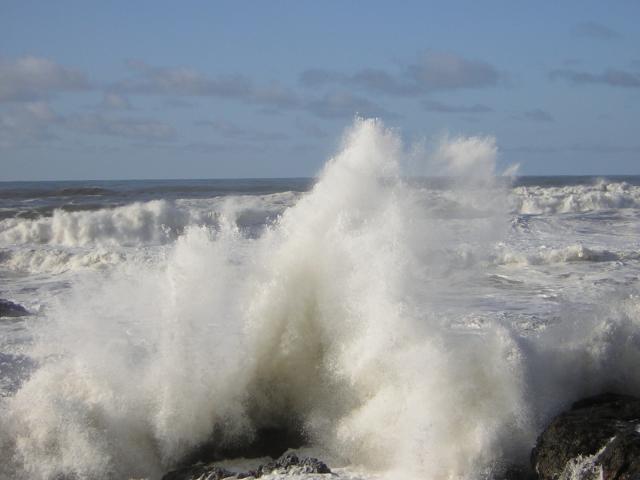 DSCN2916.jpg
