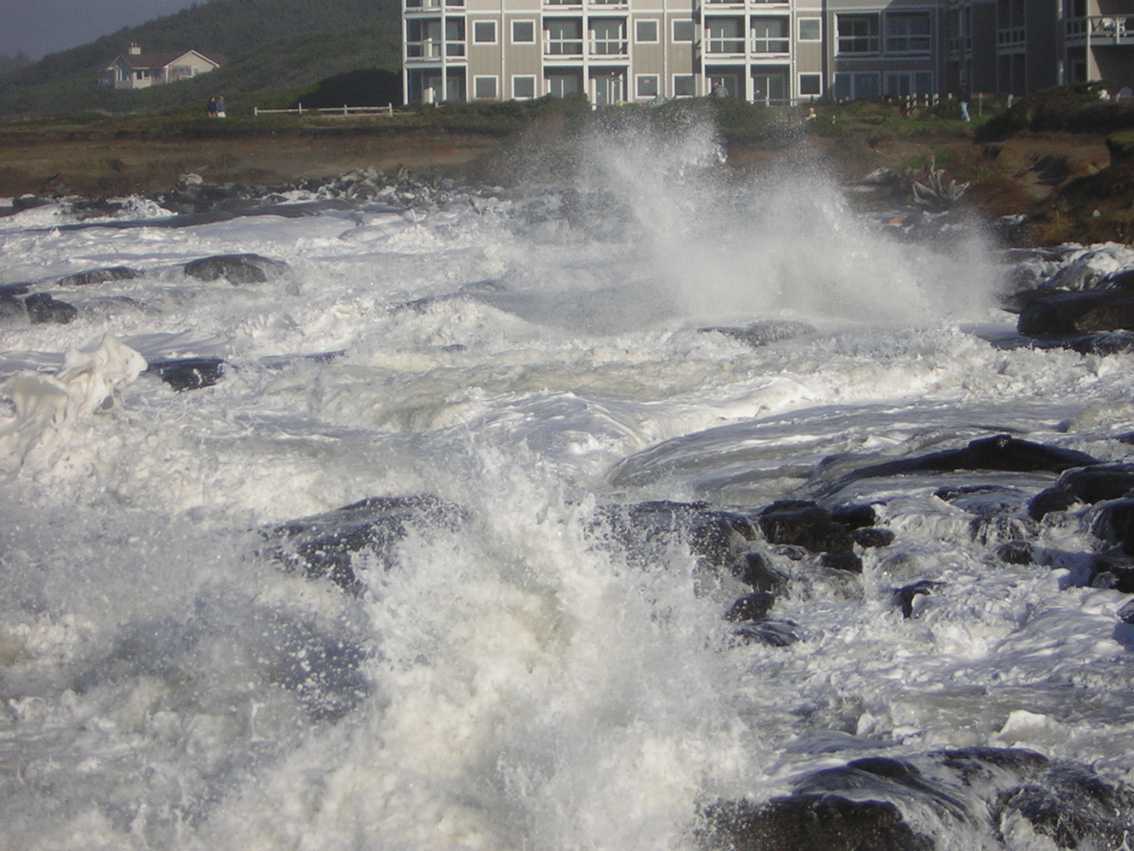 DSCN2919.jpg