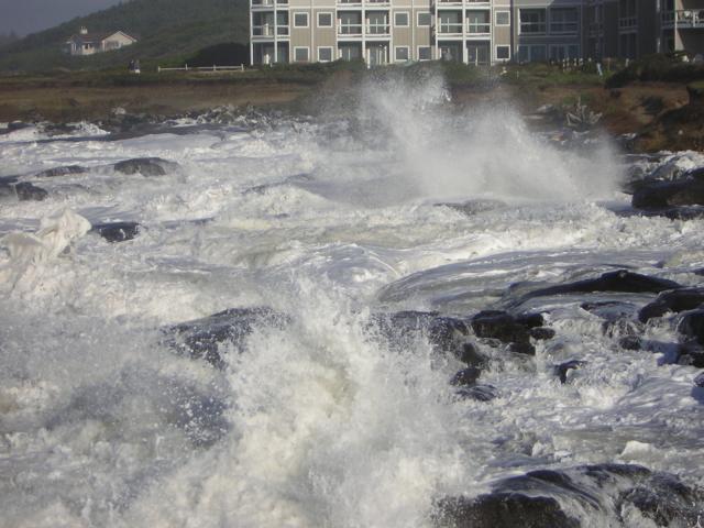 DSCN2919.jpg