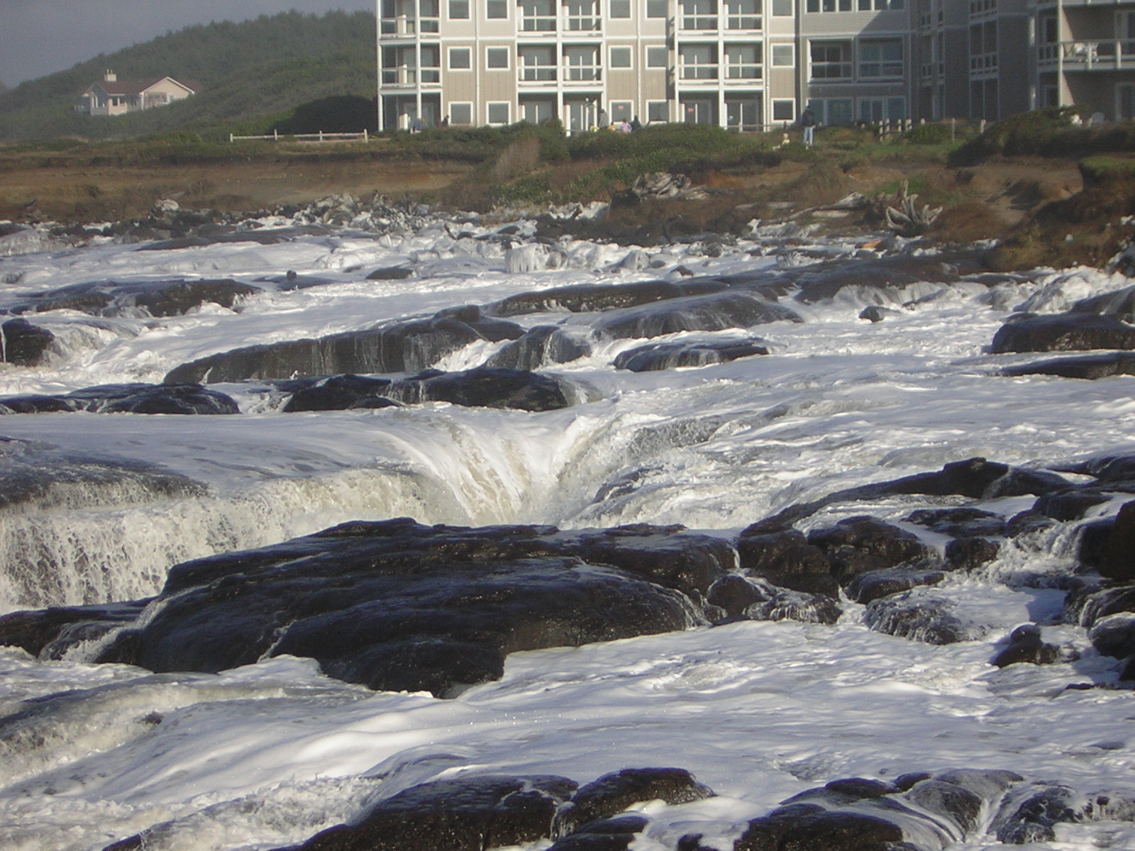 DSCN2920.jpg