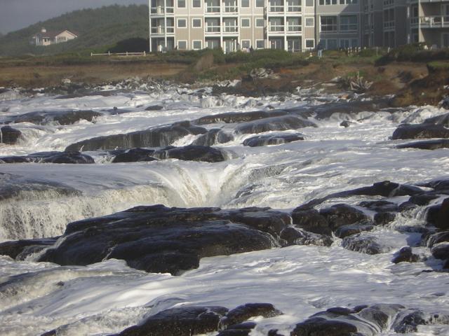DSCN2920.jpg